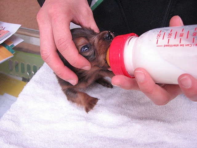 �T���v���摜