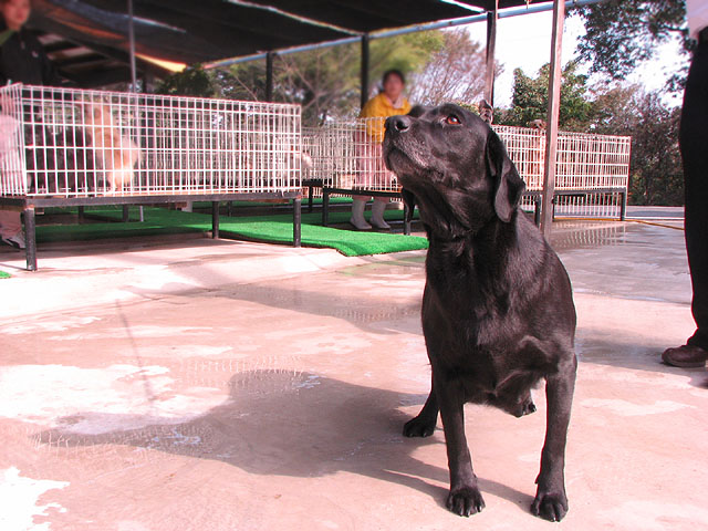 �T���v���摜