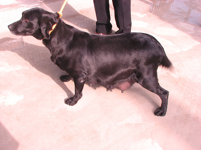 �T���v���摜