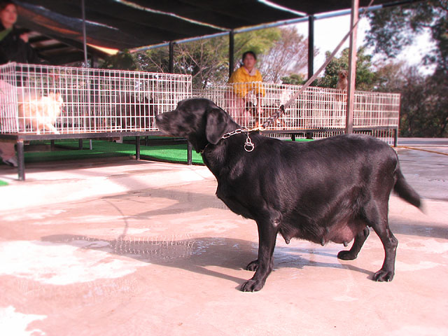 �T���v���摜