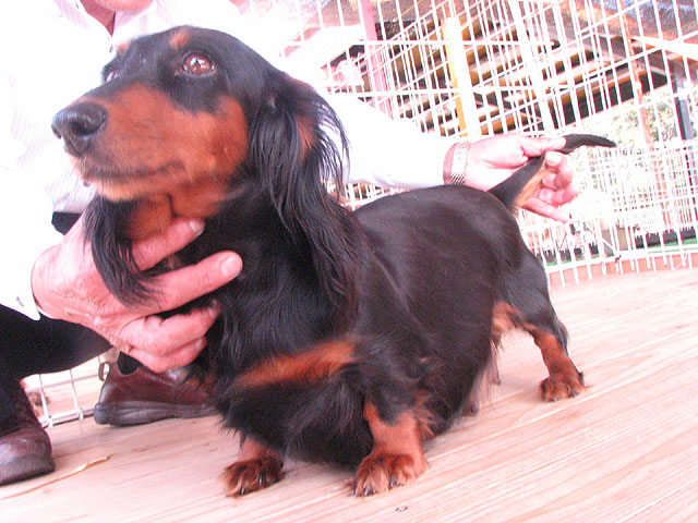 �T���v���摜