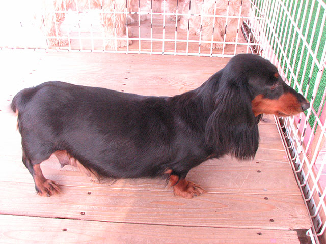 �T���v���摜