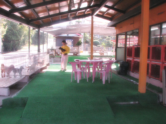 �T���v���摜