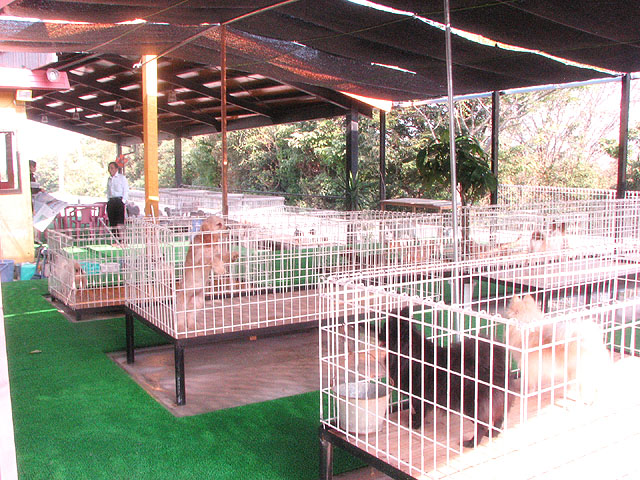 �T���v���摜