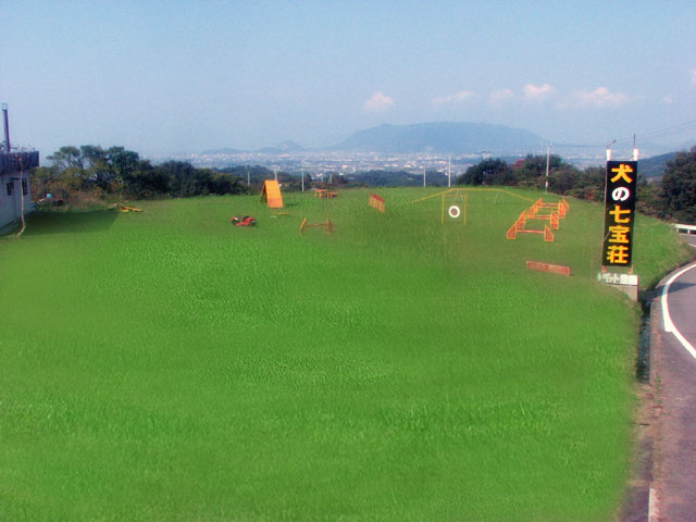 �T���v���摜