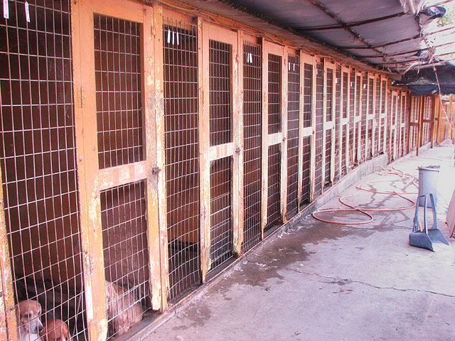 �T���v���摜