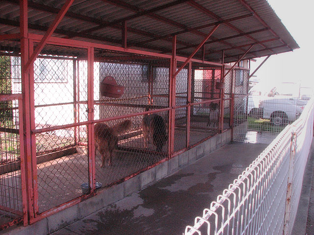 �T���v���摜