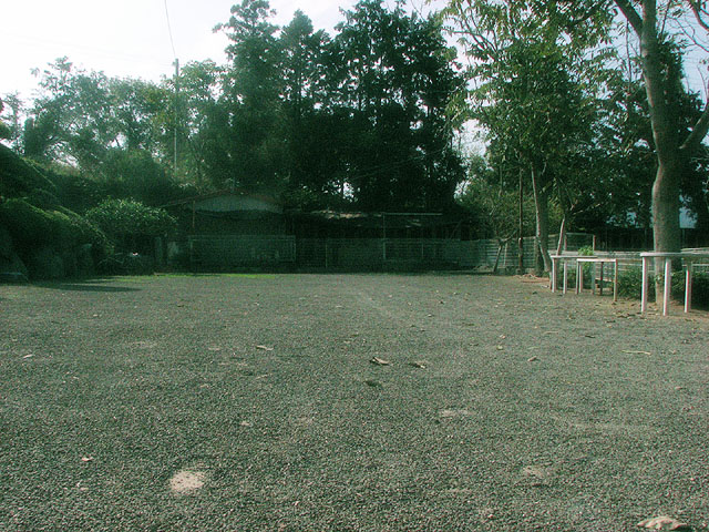 �T���v���摜