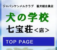 ���̎���HOME�b�y���̎��󑑁z���̊w�Z/����/�ω���/�y�b�g�V���b�v/���̌P��/���̂���/���̔ɐB/�o�Y���/�e�����/���̊w�Z/�y�b�g�z�e��/�y�b�g�쉀