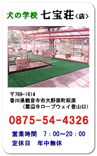 ���̎��󑑁b�y���̎��󑑁z���̊w�Z/����/�ω���/�y�b�g�V���b�v/���̌P��/���̂���/���̔ɐB/�o�Y���/�e�����/���̊w�Z/�y�b�g�z�e��/�y�b�g�쉀