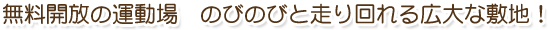 無料開放の運動場　のびのびと走り回れる広大な敷地！